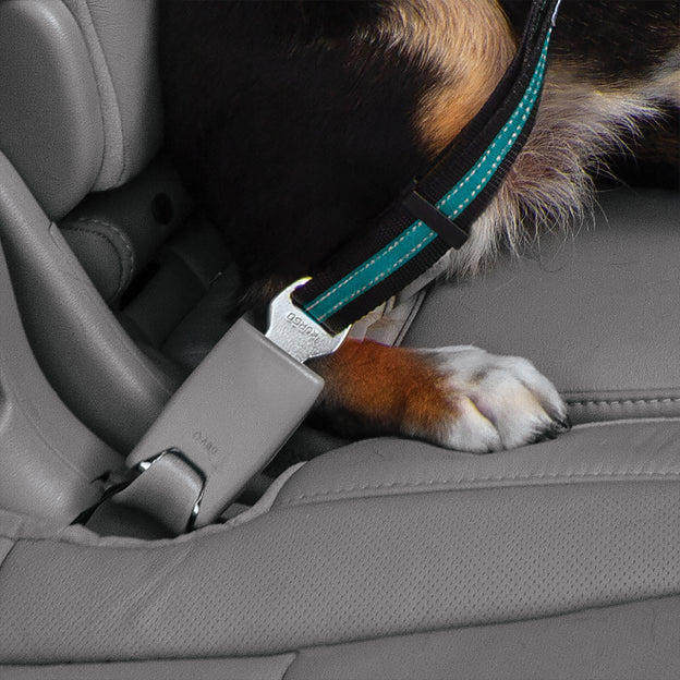 Direct to Seatbelt Swivel Tether – Blau