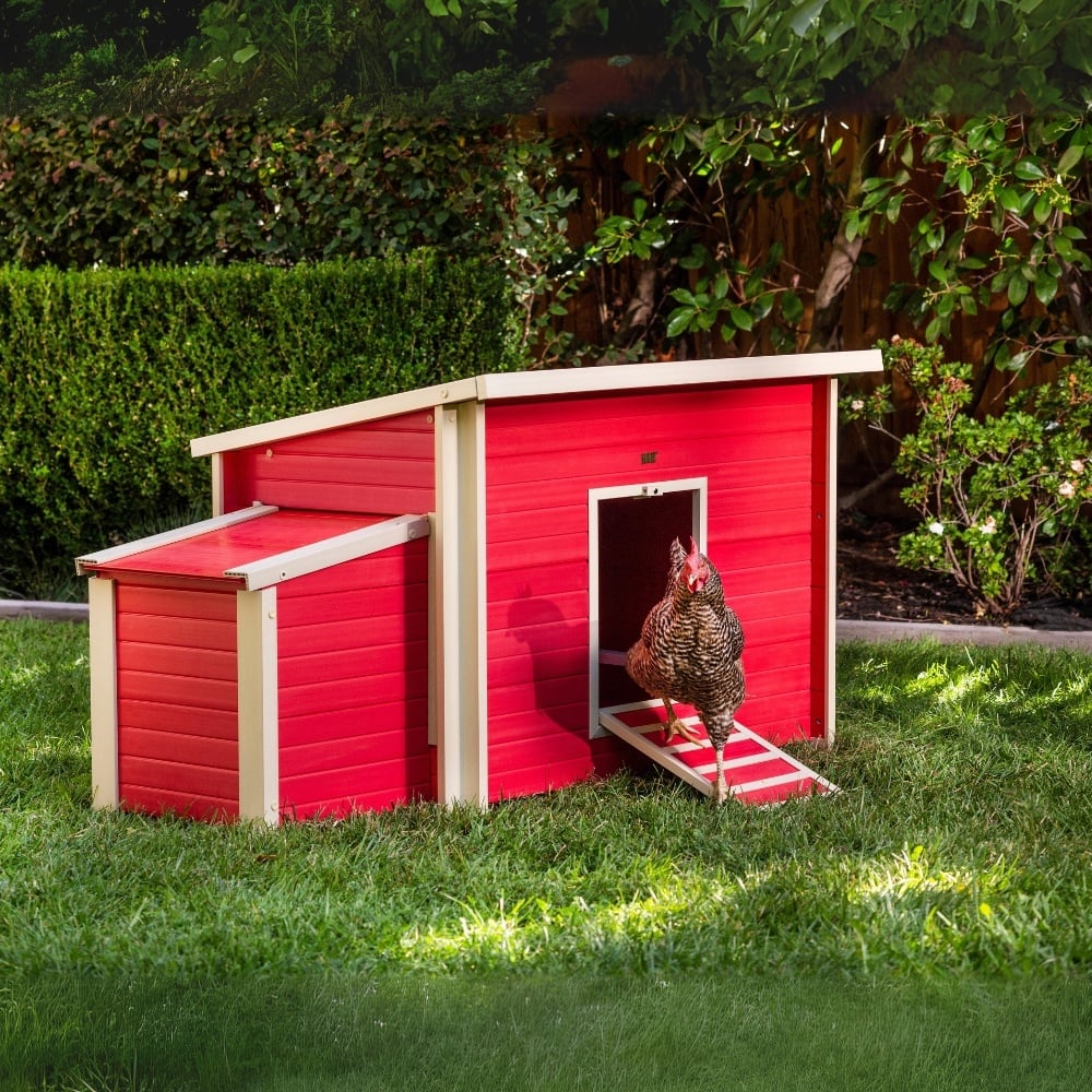 New Age Pet Kippenhok Fontana Maple 2-3 Kippen - Duurzaam ECOFLEX®