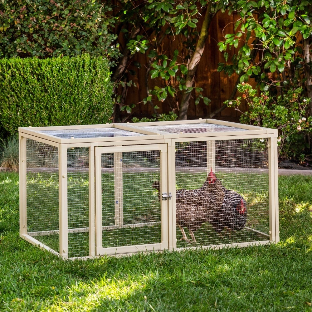 New Age Pet Kippenren Fontana – Roestvrijstaal, Dierveilig