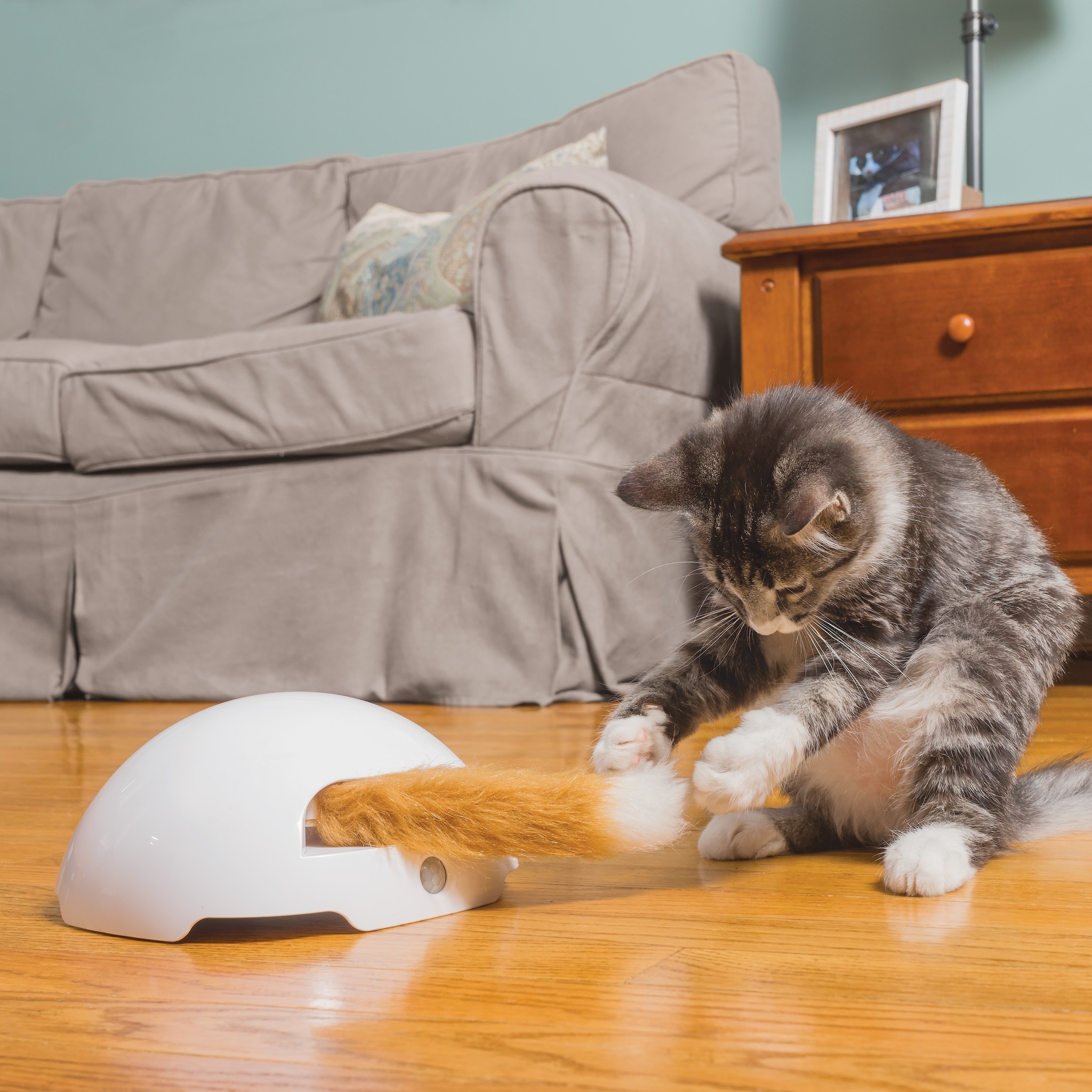 Fox Den Toy – Automatischer Katzen-Teaser