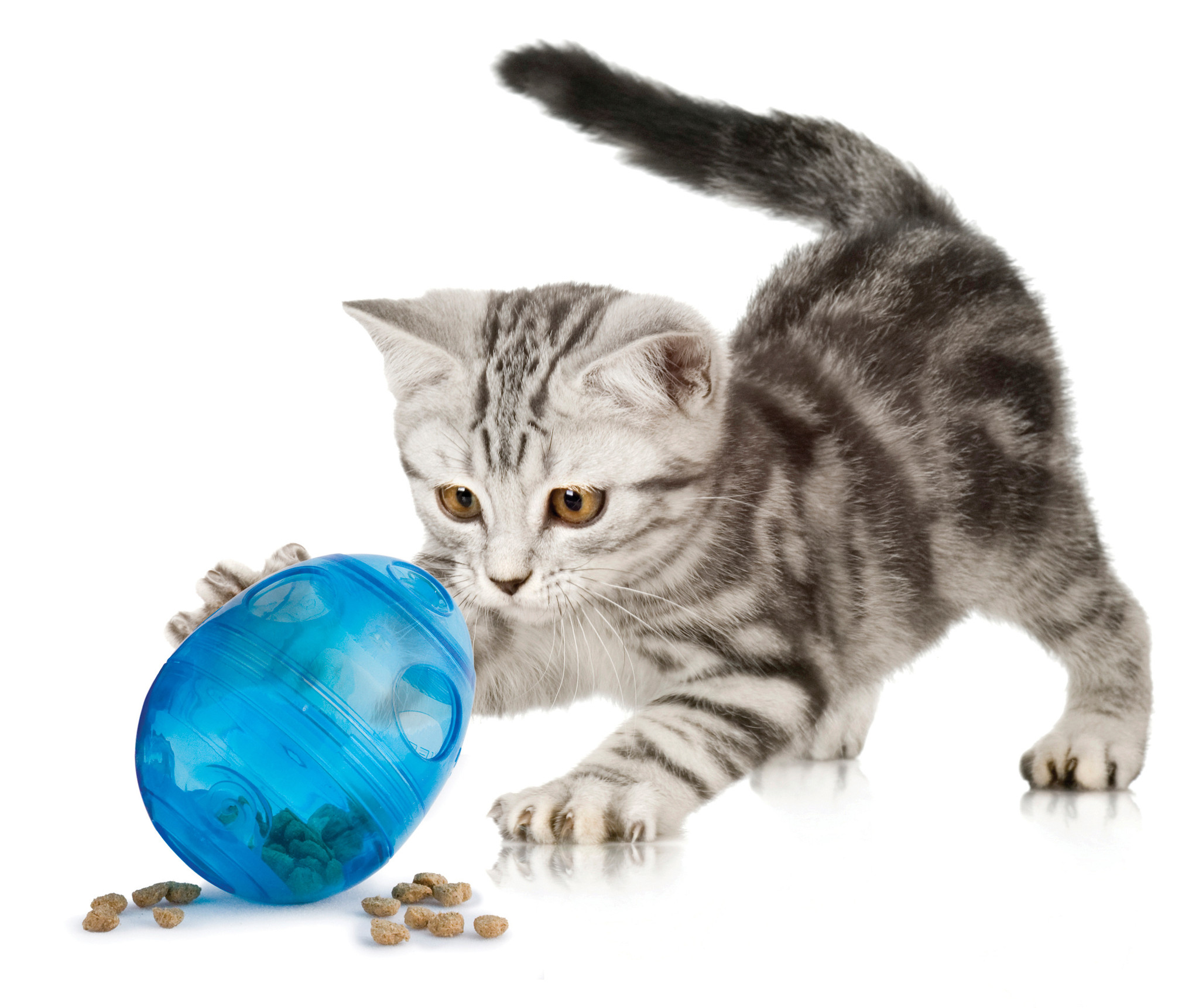 PetSafe katten speelgoed Funkitty Egg-Cersizer – stimulerend en actief