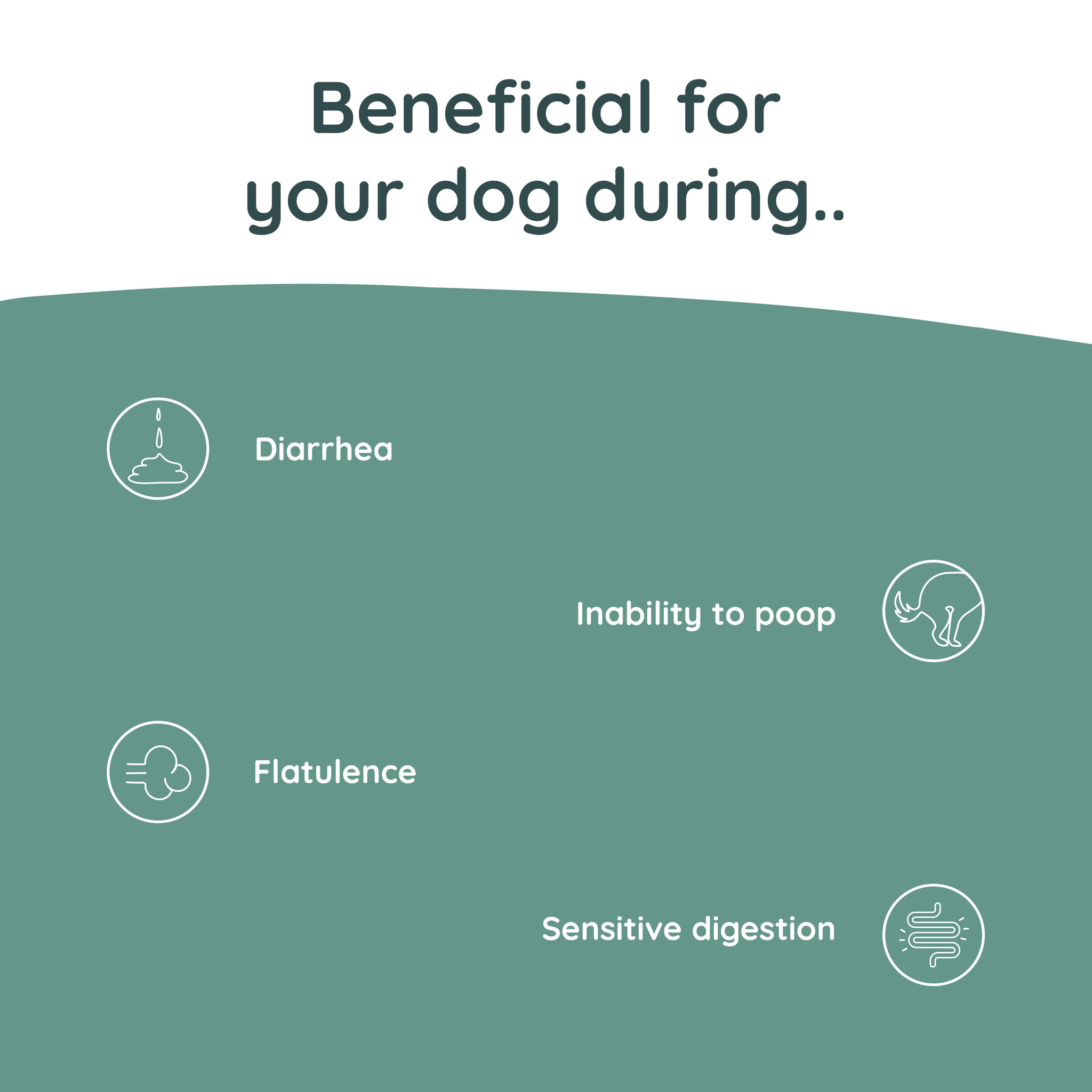 Greenfields Probiotics+ Hondenvoer bij Gevoelige Darmen – 500 g