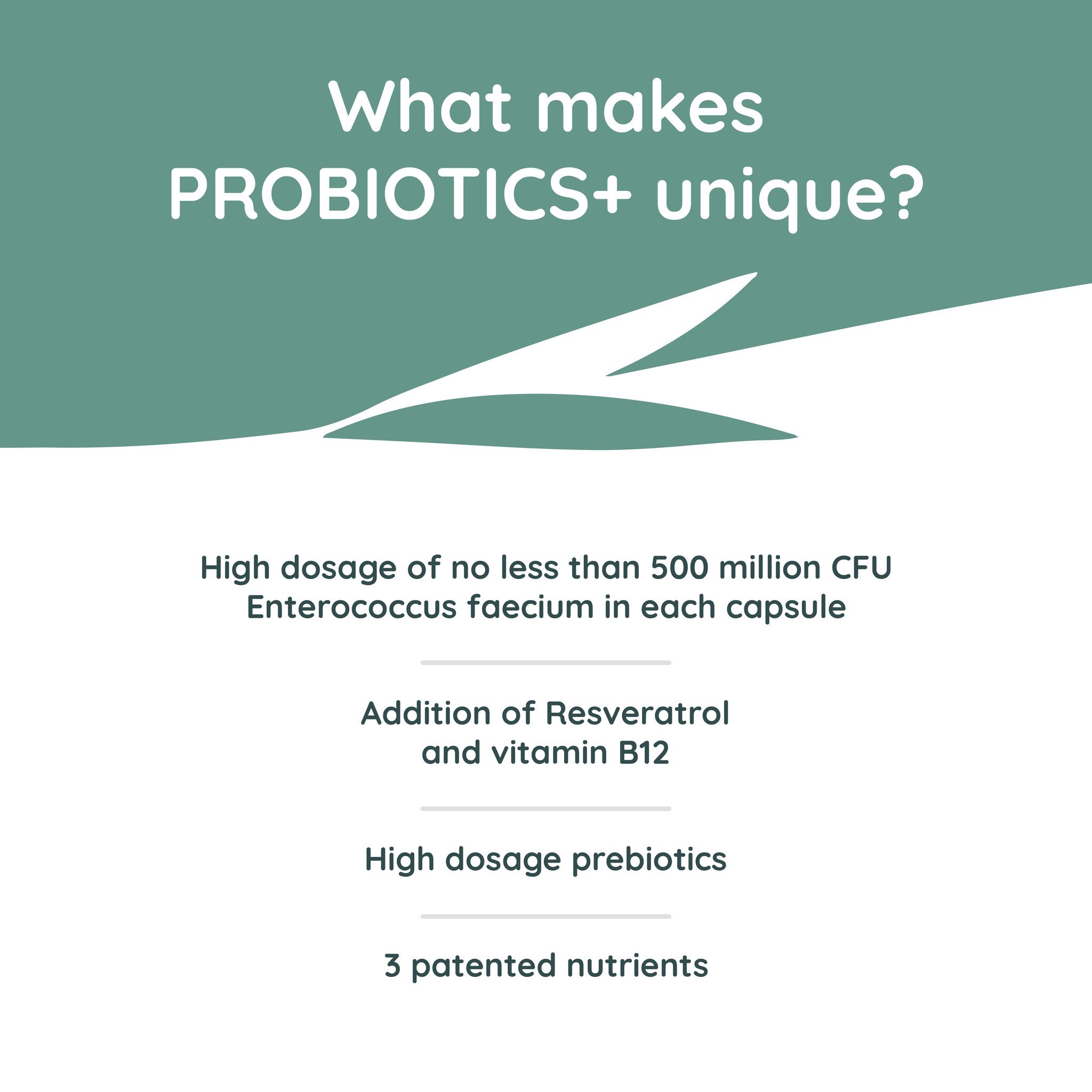 Greenfields Probiotics+ Hondenvoer bij Gevoelige Darmen – 500 g