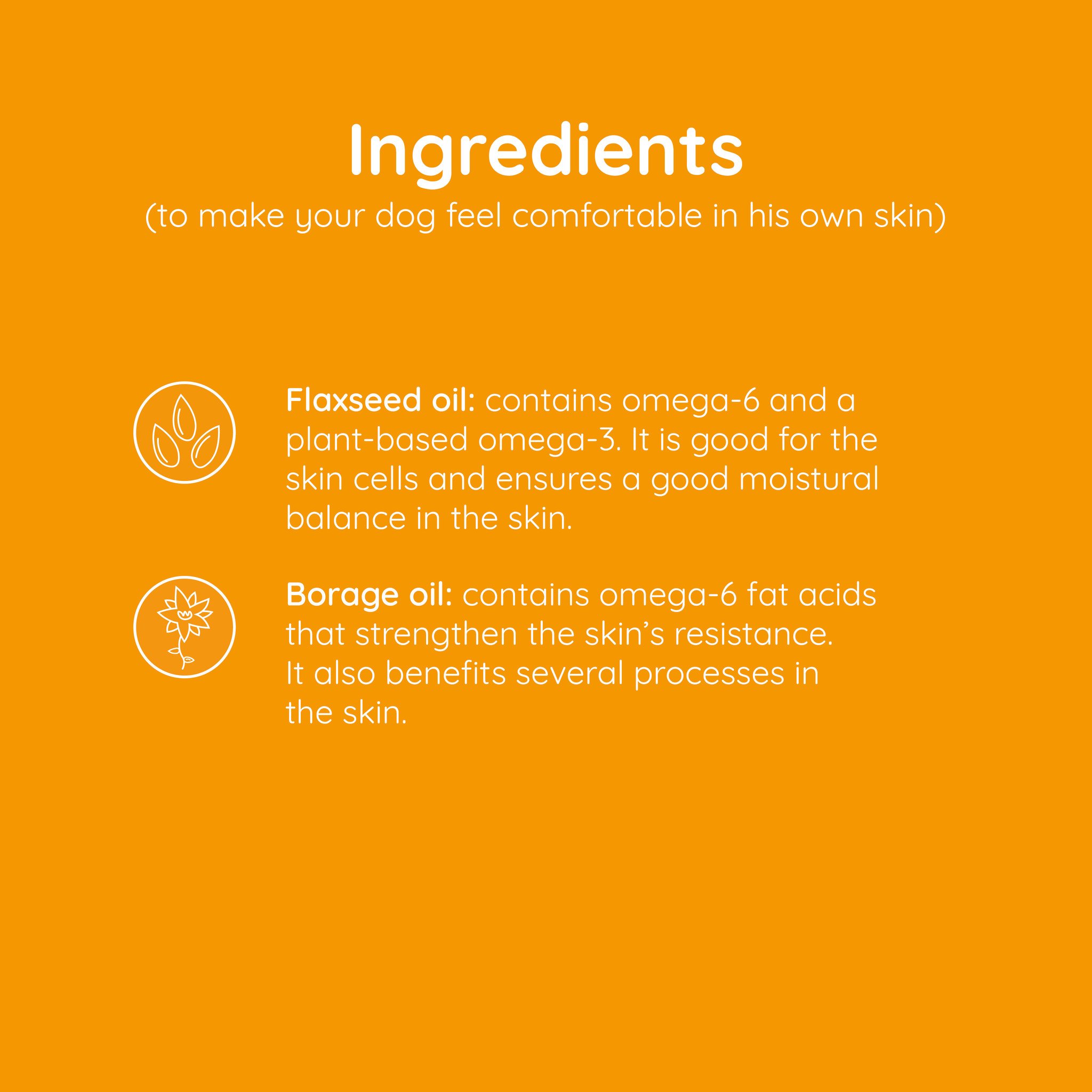 Greenfields Skin+ voedingssupplement huid en vacht – 200 ml