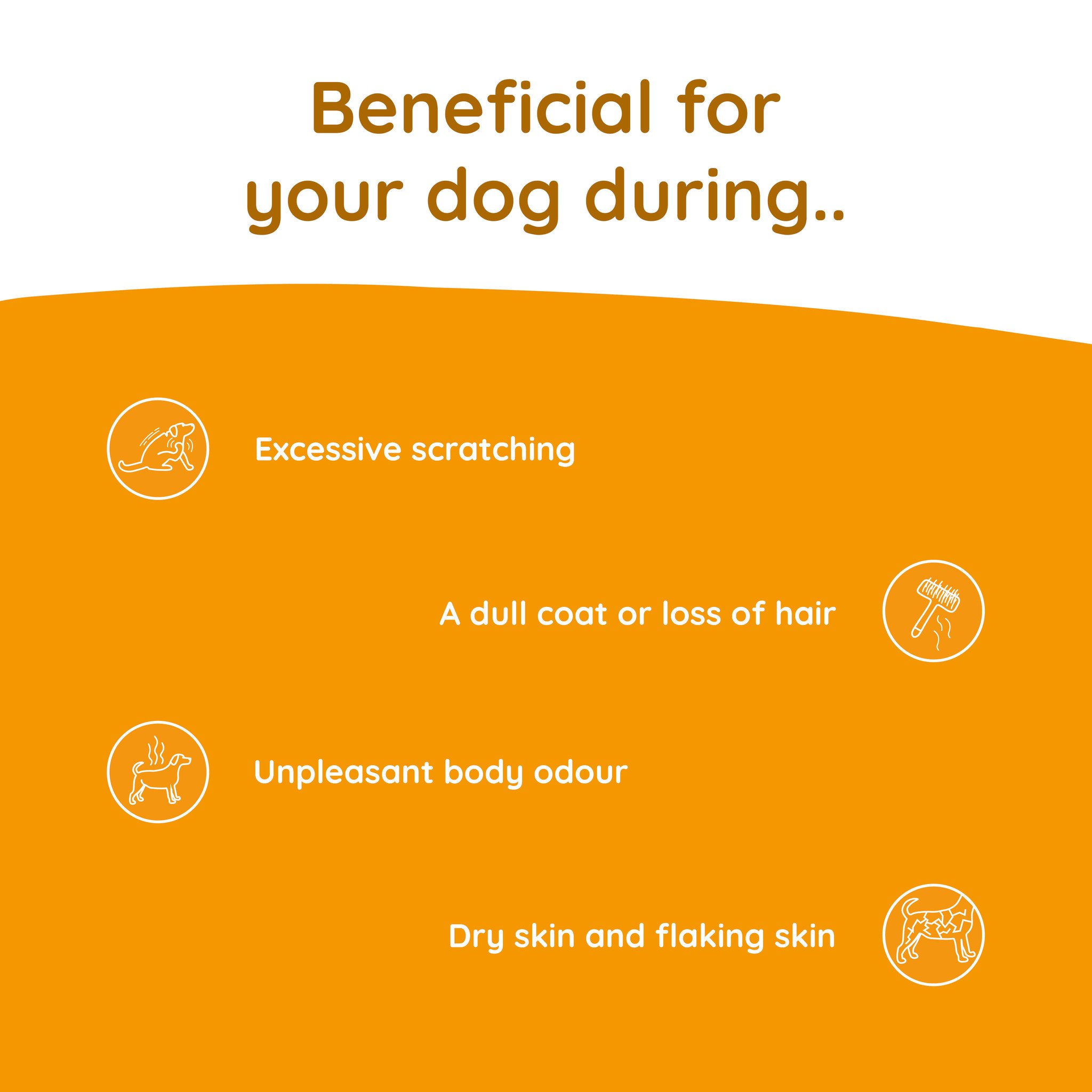 Greenfields Skin+ voedingssupplement huid en vacht – 200 ml