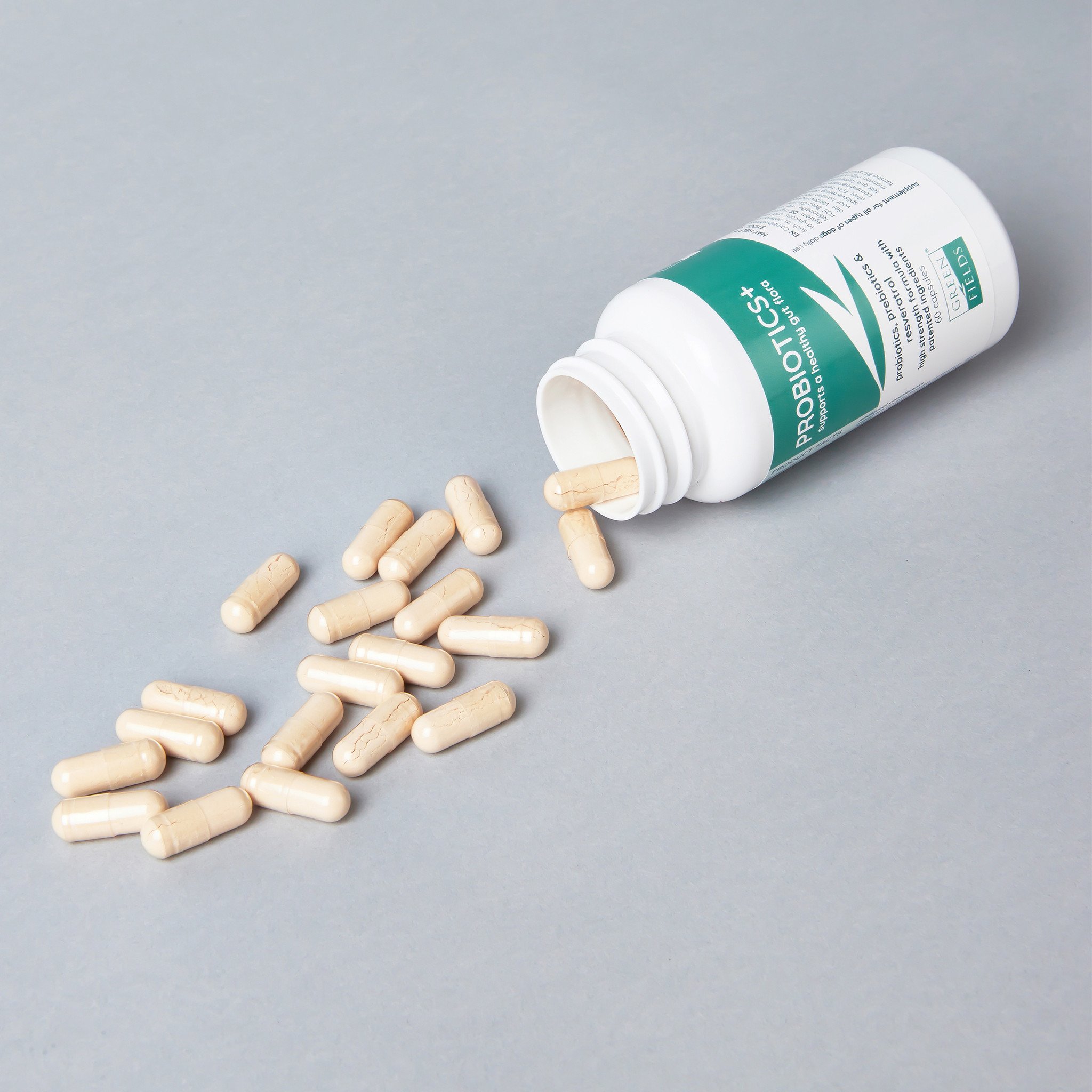 Greenfields Probiotics+ Hondenvoer bij Gevoelige Darmen – 500 g