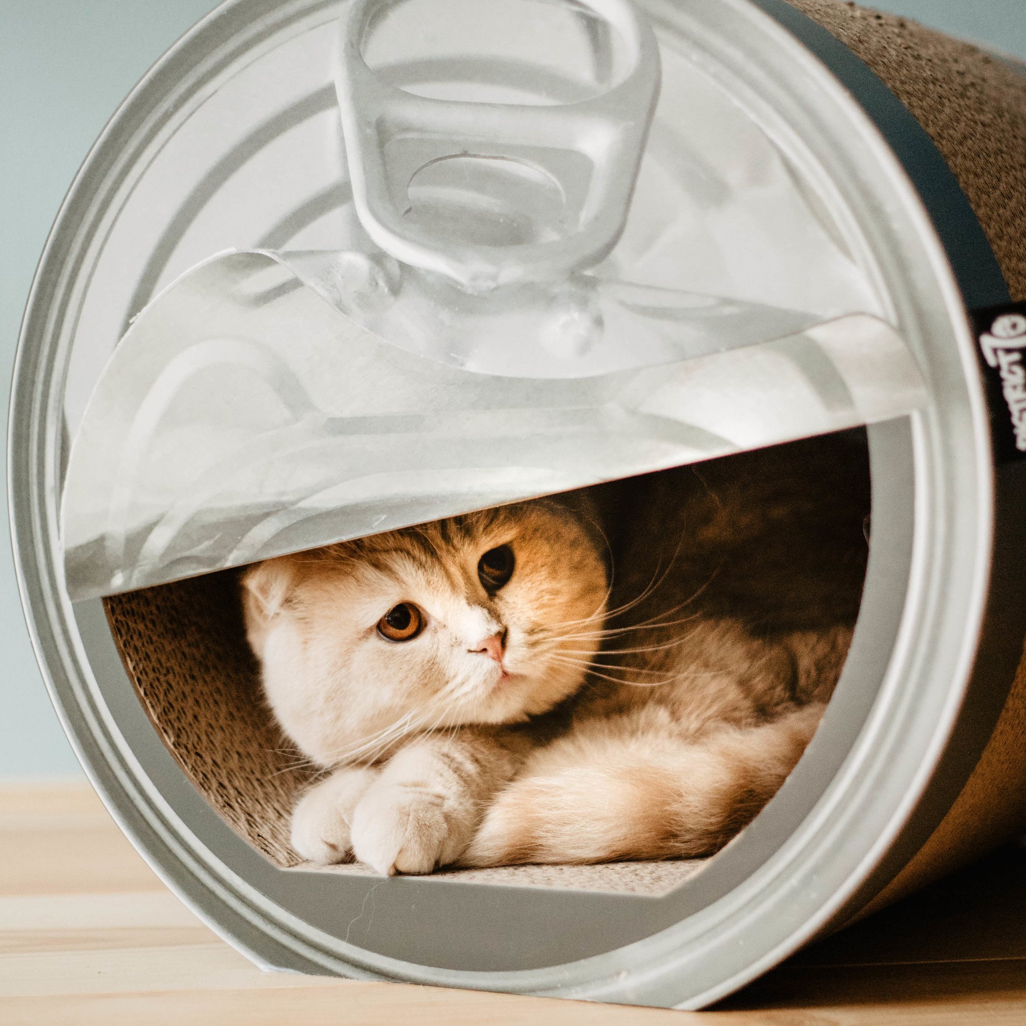 District 70 CAN Krabmeubel | Perfect voor Huiskatten