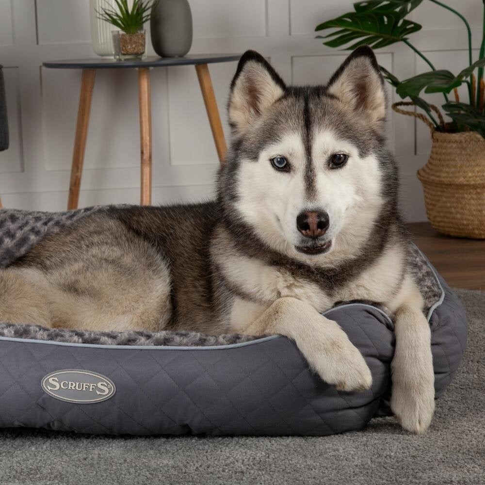 Scruffs Hundebett Wilton Box Bed - Grau 60×50 cm - Medium