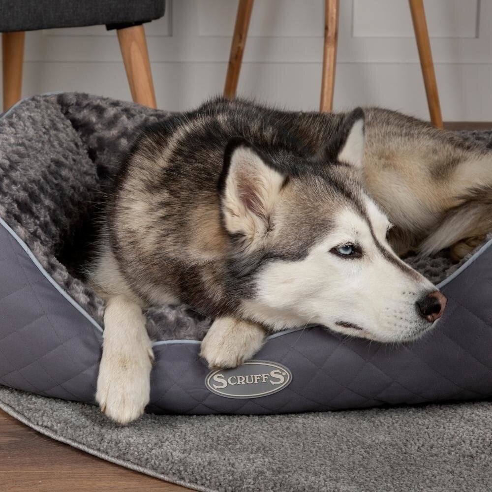 Scruffs Wilton Box Bed Hundebett - 50×40 cm - Grau