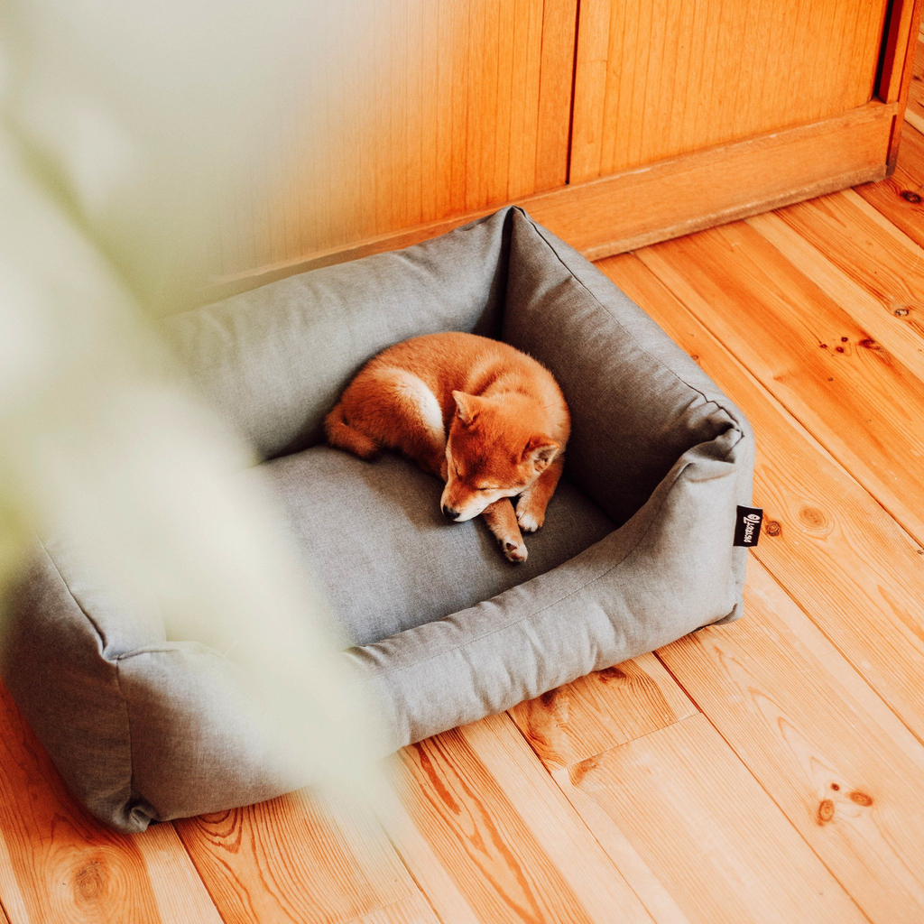 District 70 CLASSIC Box Bed | Cactus Green, Large 100x70 cm