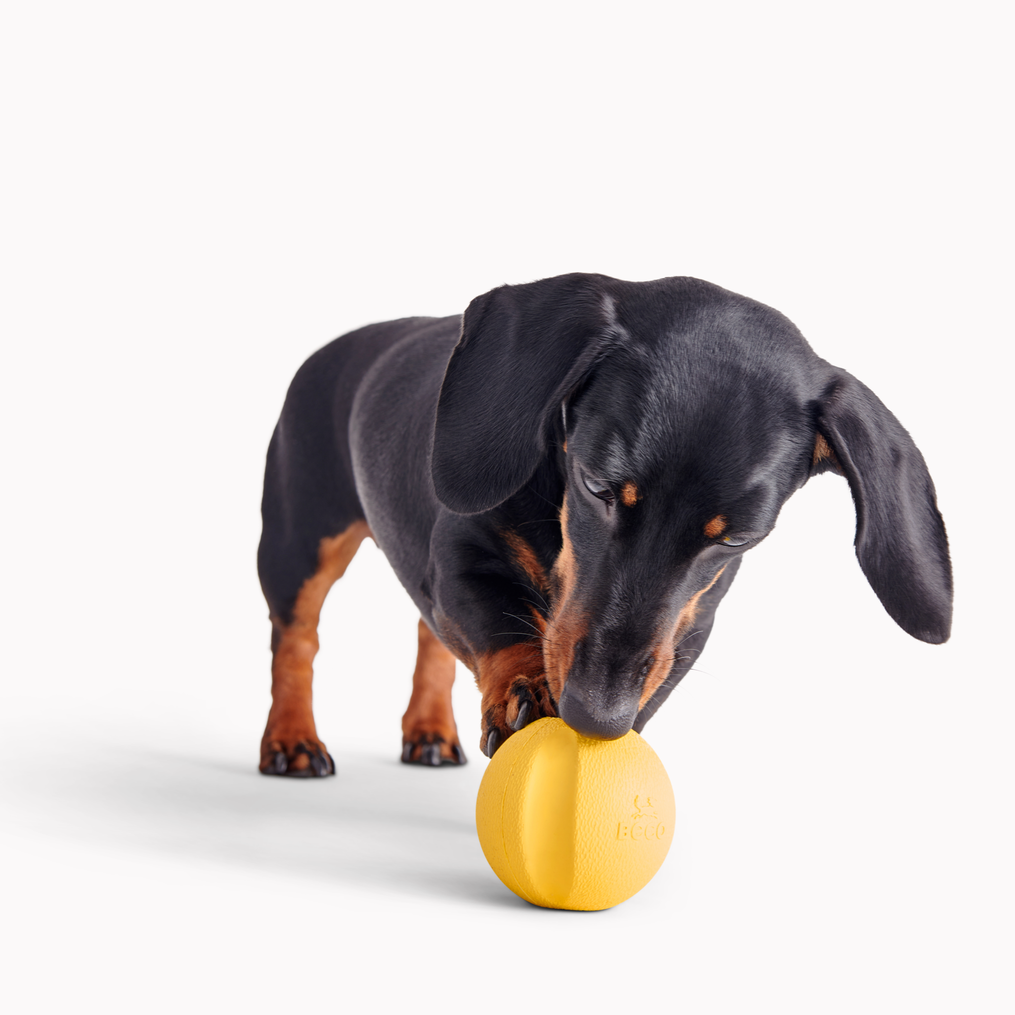 Fetch Ball - Gelb