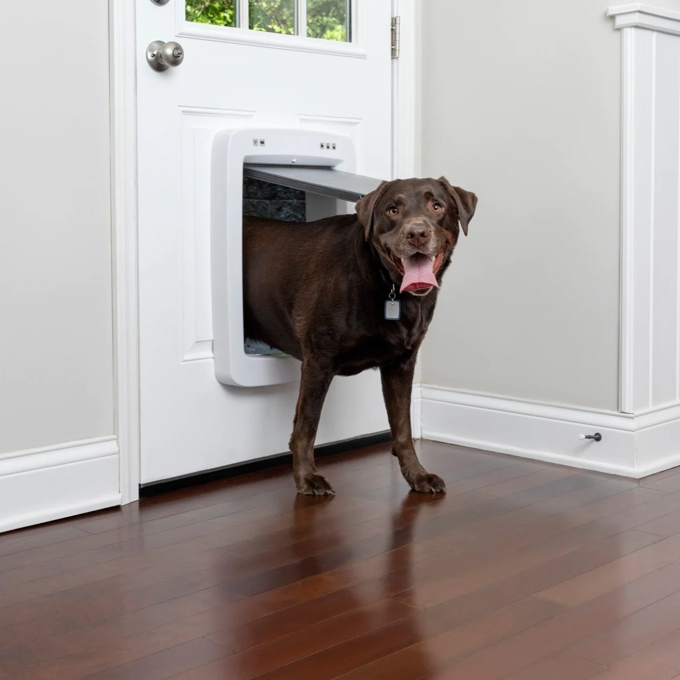 PetSafe Hondenluik SmartDoor Large – Slimme Toegang met App