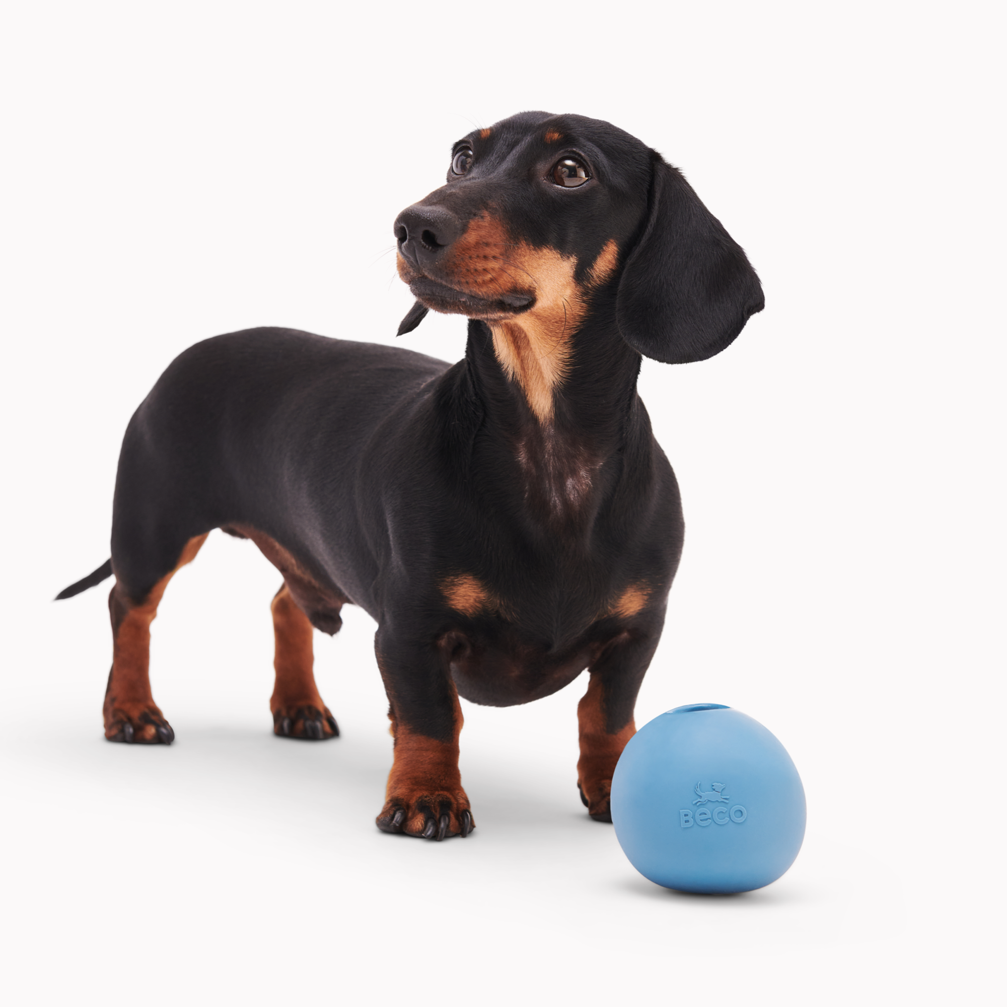 Wobble Ball - Blau