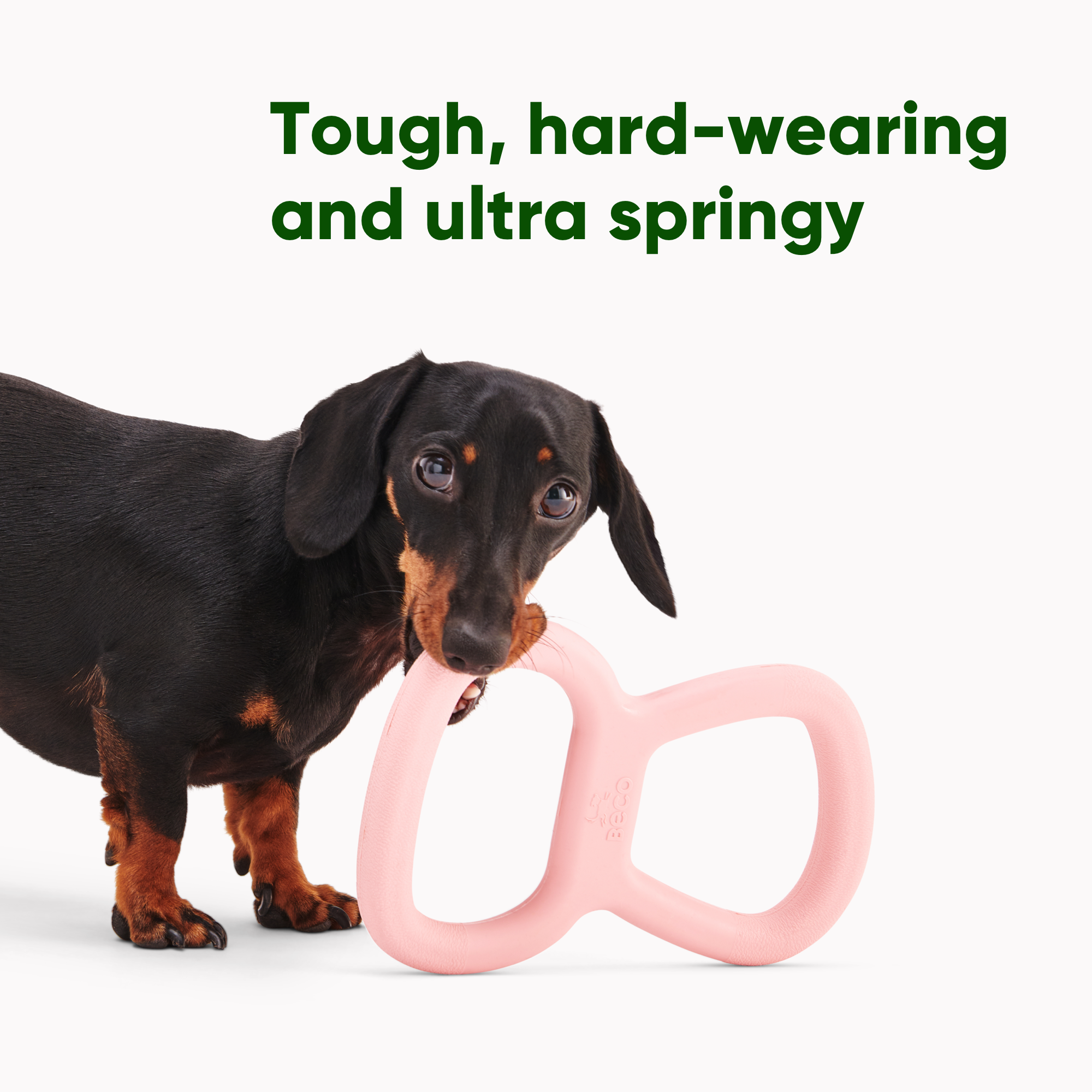 Tough Tugger – Rosa