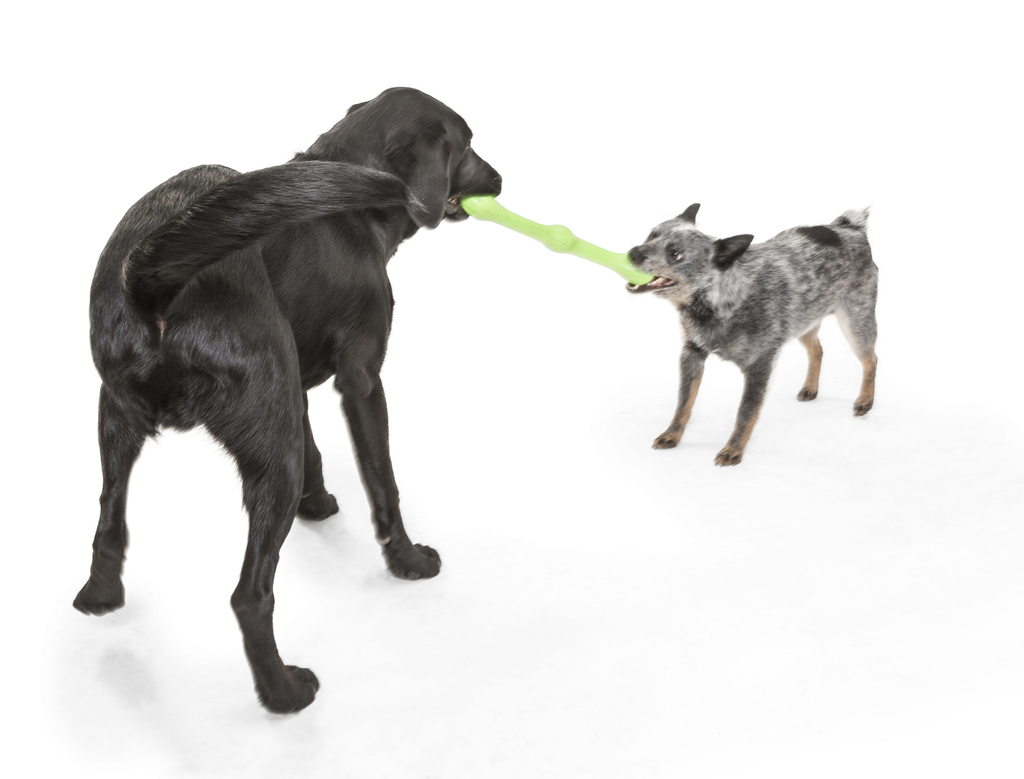 Zogoflex Echo Zwig Dog Toy