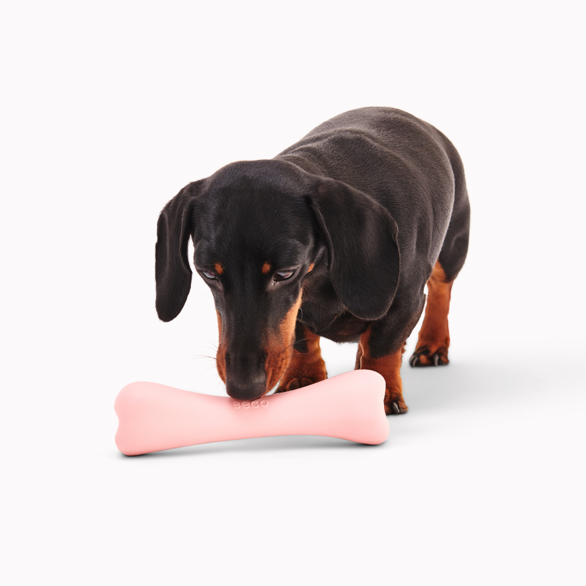 Treat Bone - Grün