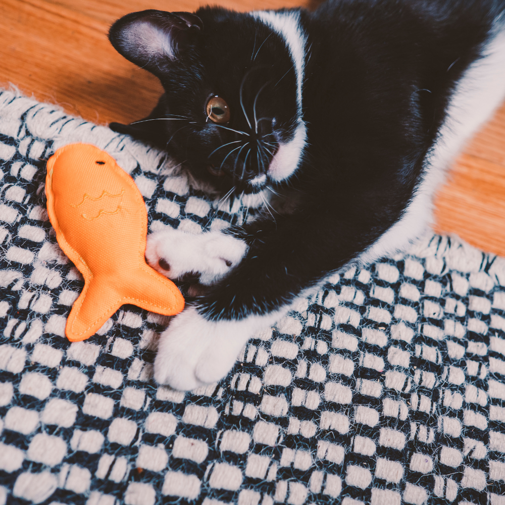 Plush Catnip Dolphin Toy