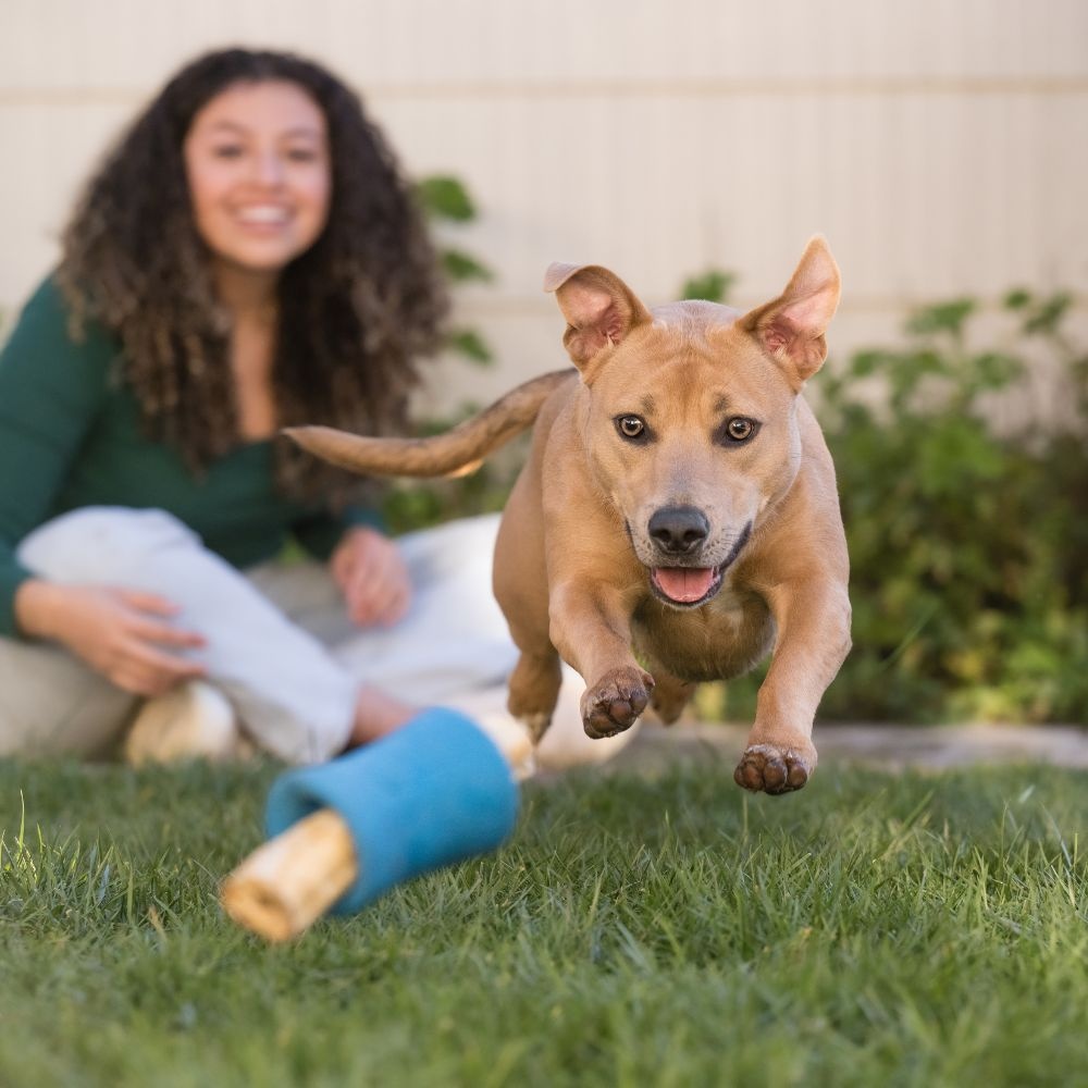 West Paw Seaflex Funnl™ | Puzzel & verrijkend hondenspeelgoed Tropic Red