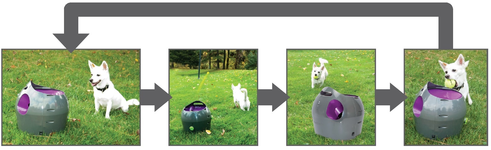 PetSafe Honden Ballenwerper Automatic Ball Launcher – Waterbestendig