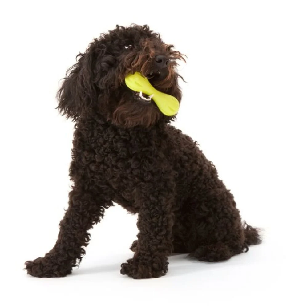 Zogoflex Hurley - Granny Smith Grün / Small - 15 cm