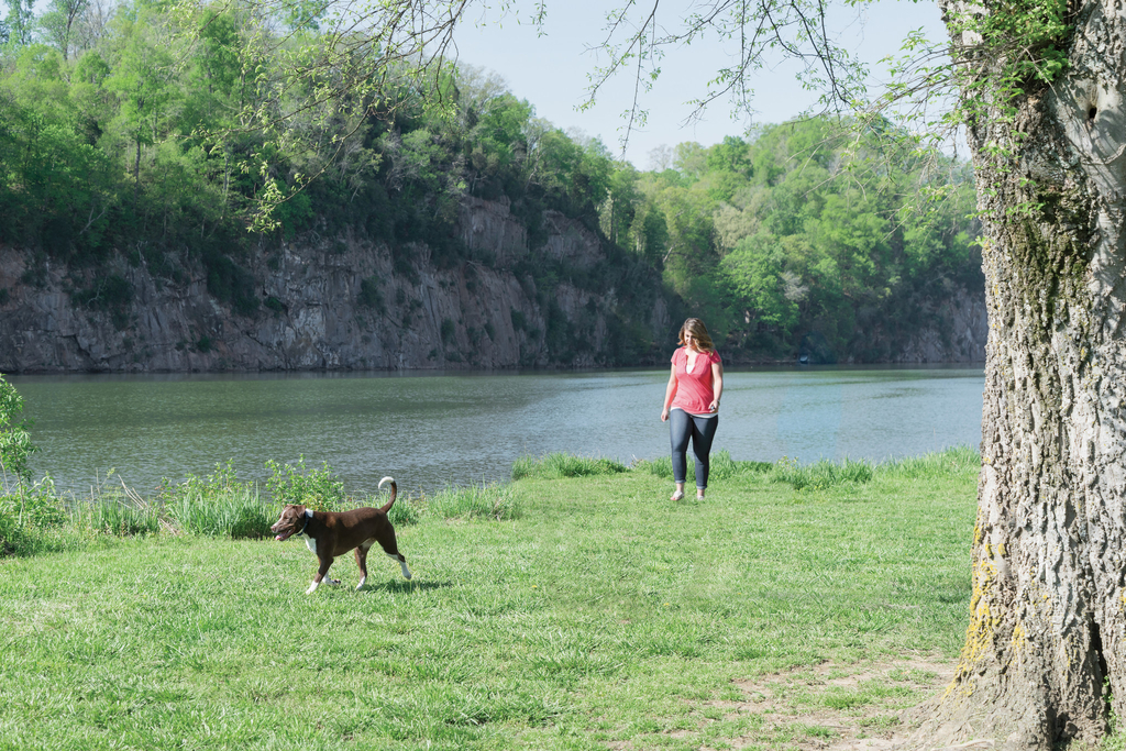 PetSafe® Remote Trainer 900M