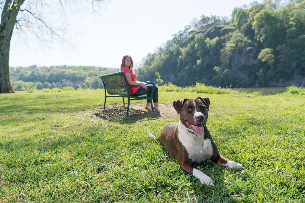 PetSafe® Remote Trainer 900M