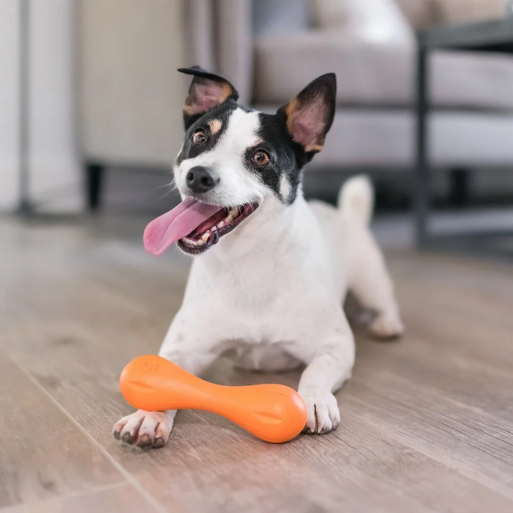 West Paw Zogoflex Hurley | Tangerine Oranje, Maat Large 21 cm