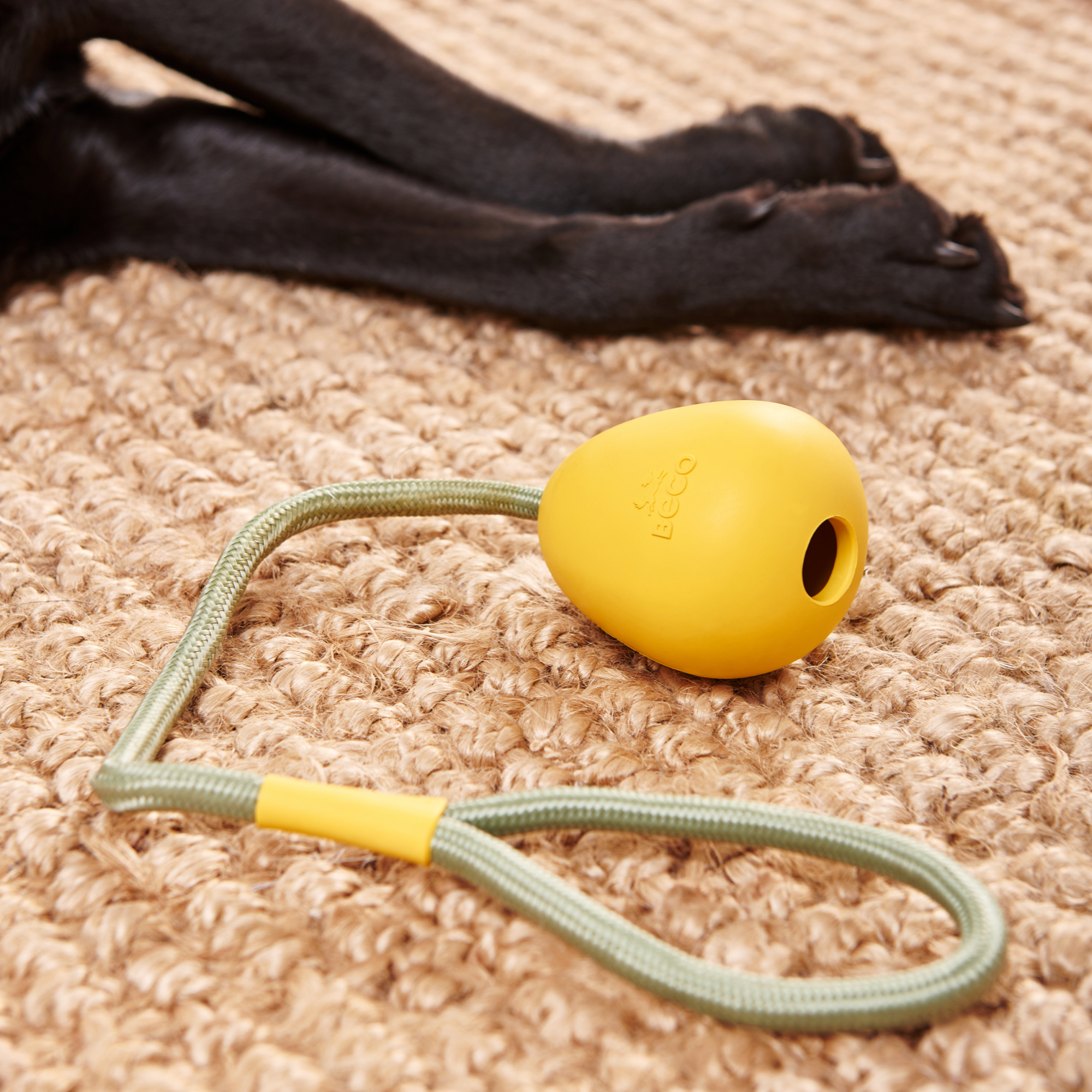 Slinger Pebble – Orange