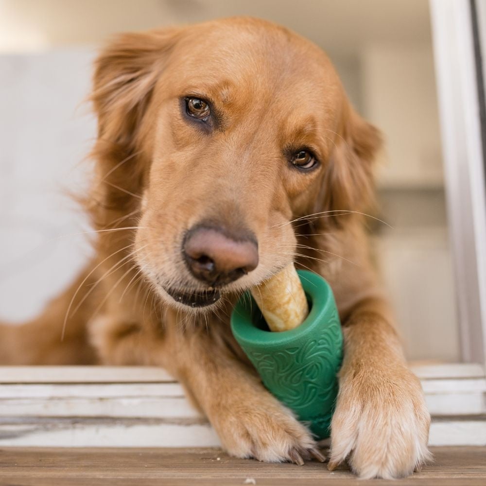 West Paw Seaflex Funnl™ | Kelp Hondenspeelgoed Puzzel & Verrijking