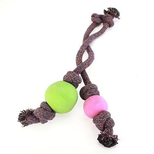Ball on Rope Toy