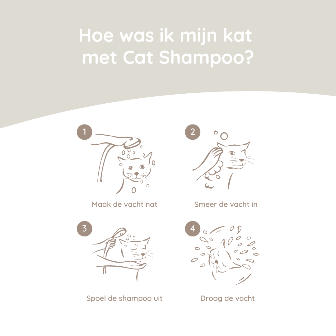 Katzenshampoo