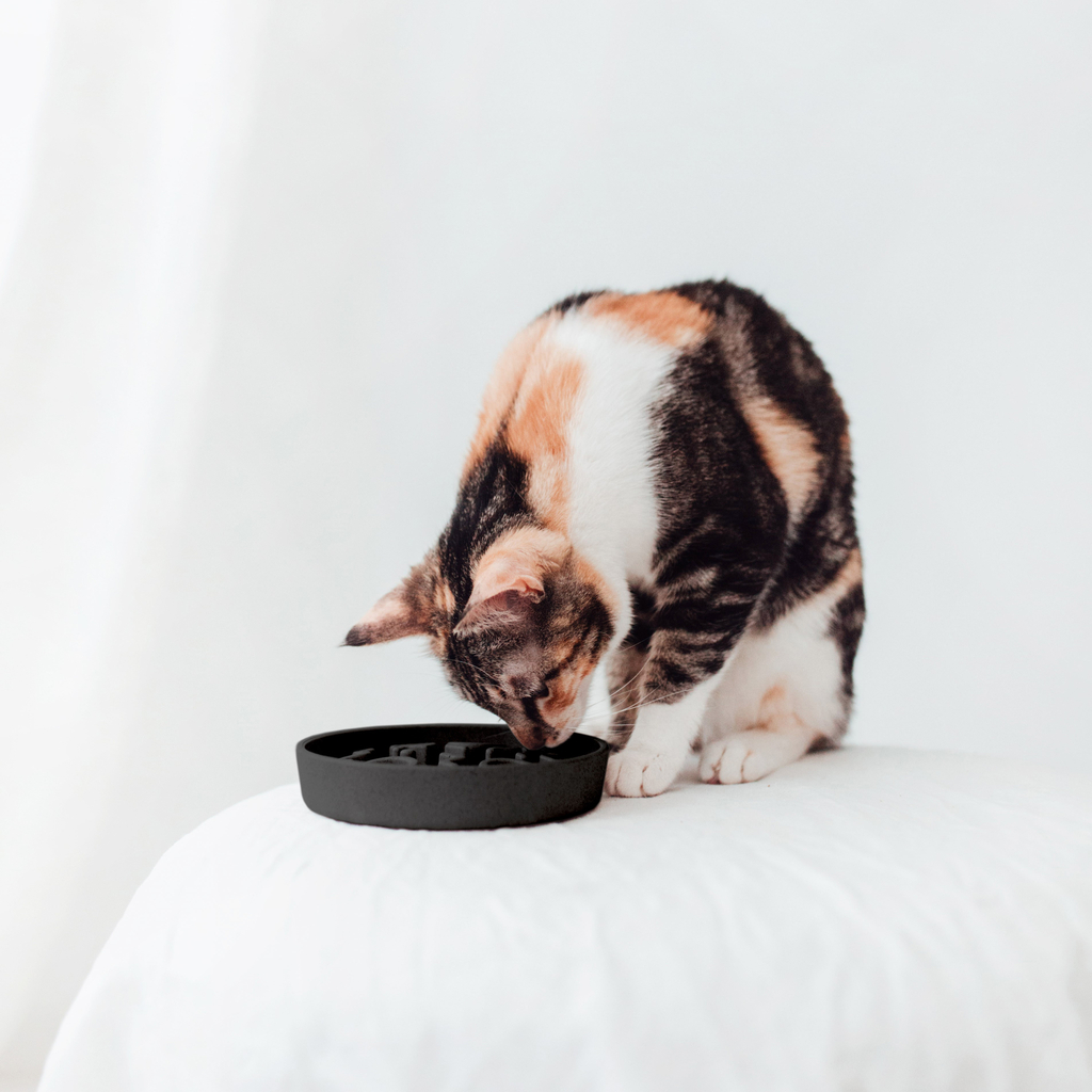 BAMBOO Slow Feeder für Katzen - Grey