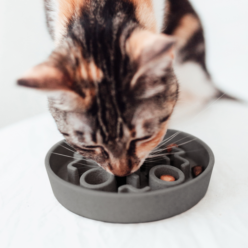BAMBOO Slow Feeder für Katzen - Grey