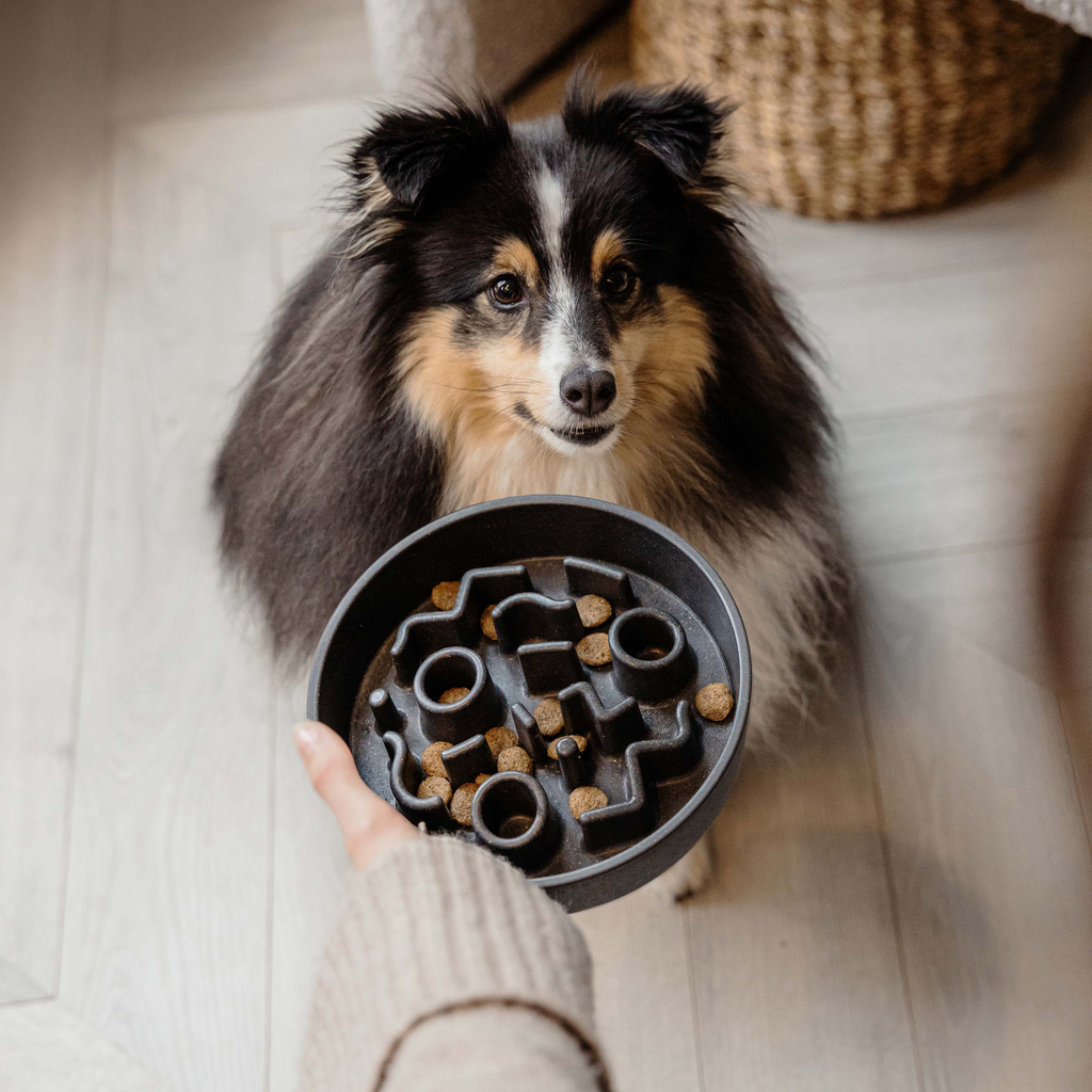 District 70 Slow Feeder BAMBOO Ø17 cm - Dark Grey