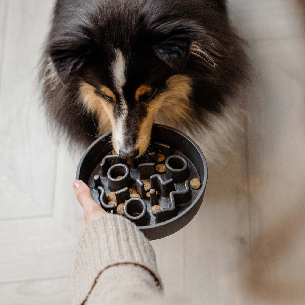 District 70 Slow Feeder BAMBOO Ø17 cm - Dark Grey