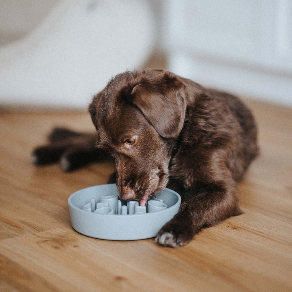 BAMBOO Slow Feeder für Hunde - Ice Blue / Ø17 cm (520ml)