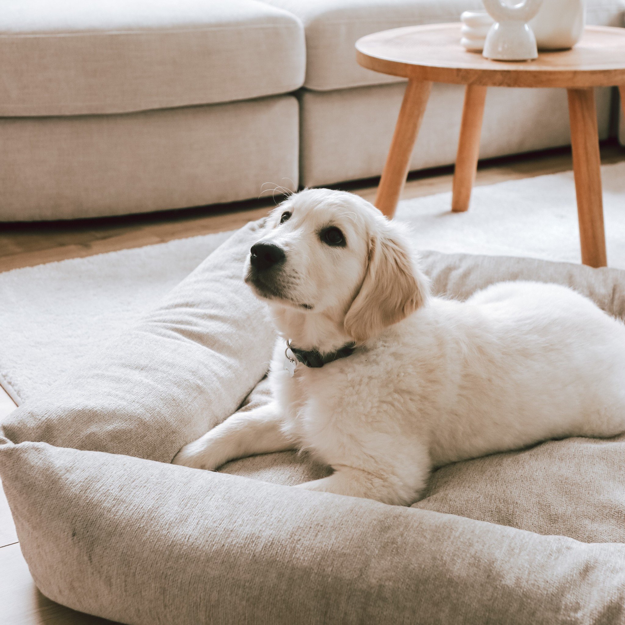 District 70 Hundekorb HUSH Dunkelgrau & Creme 80×60 cm - Medium