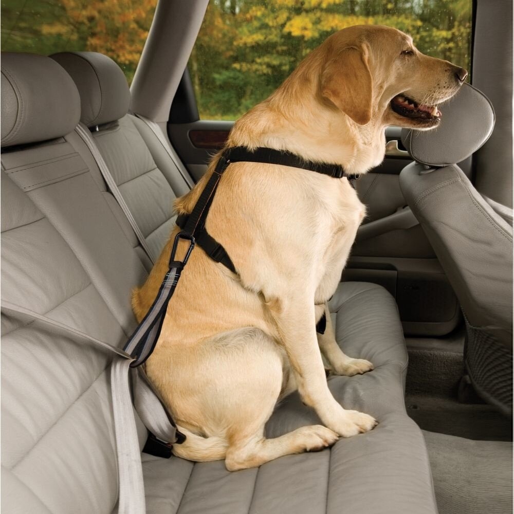 Kurgo hondenveiligheidsharnas Dog Seatbelt Loop – Veilig met hond in auto