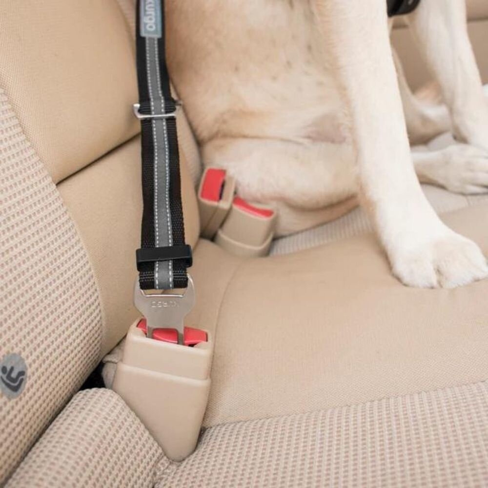 Kurgo hondenveiligheidsharnas Dog Seatbelt Loop – Veilig met hond in auto