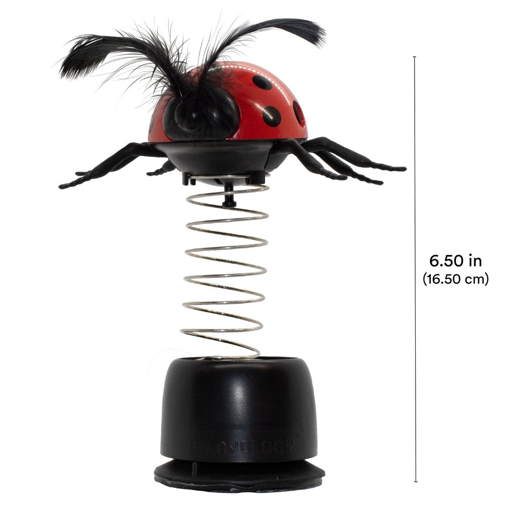 Ladybug Treater
