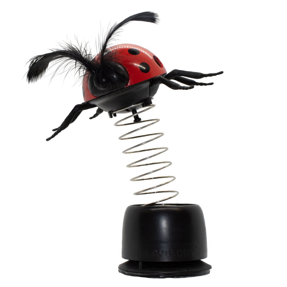 Ladybug Treater