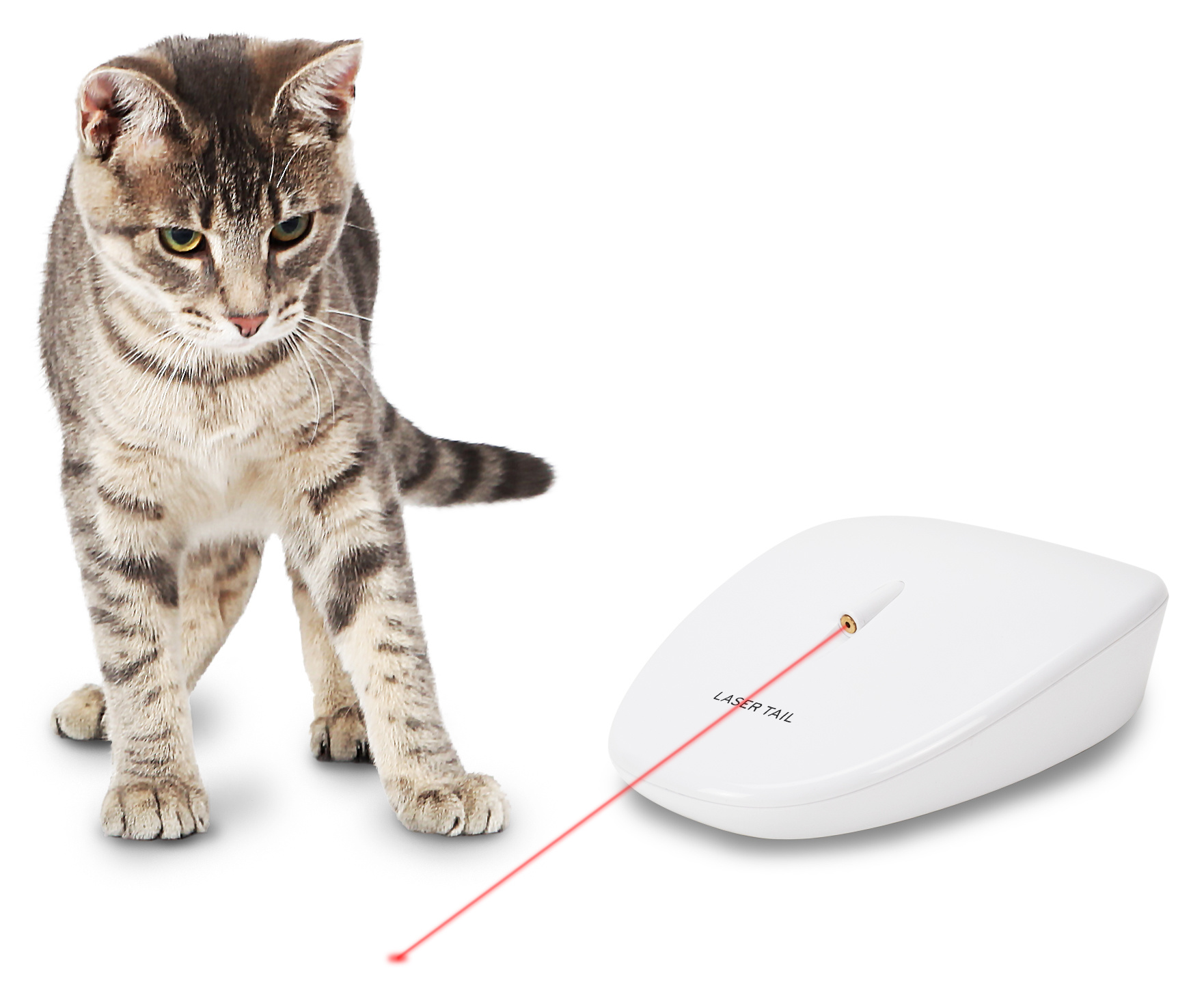 PetSafe Lasertail Speelgoed voor Katten – Laserspeeltje
