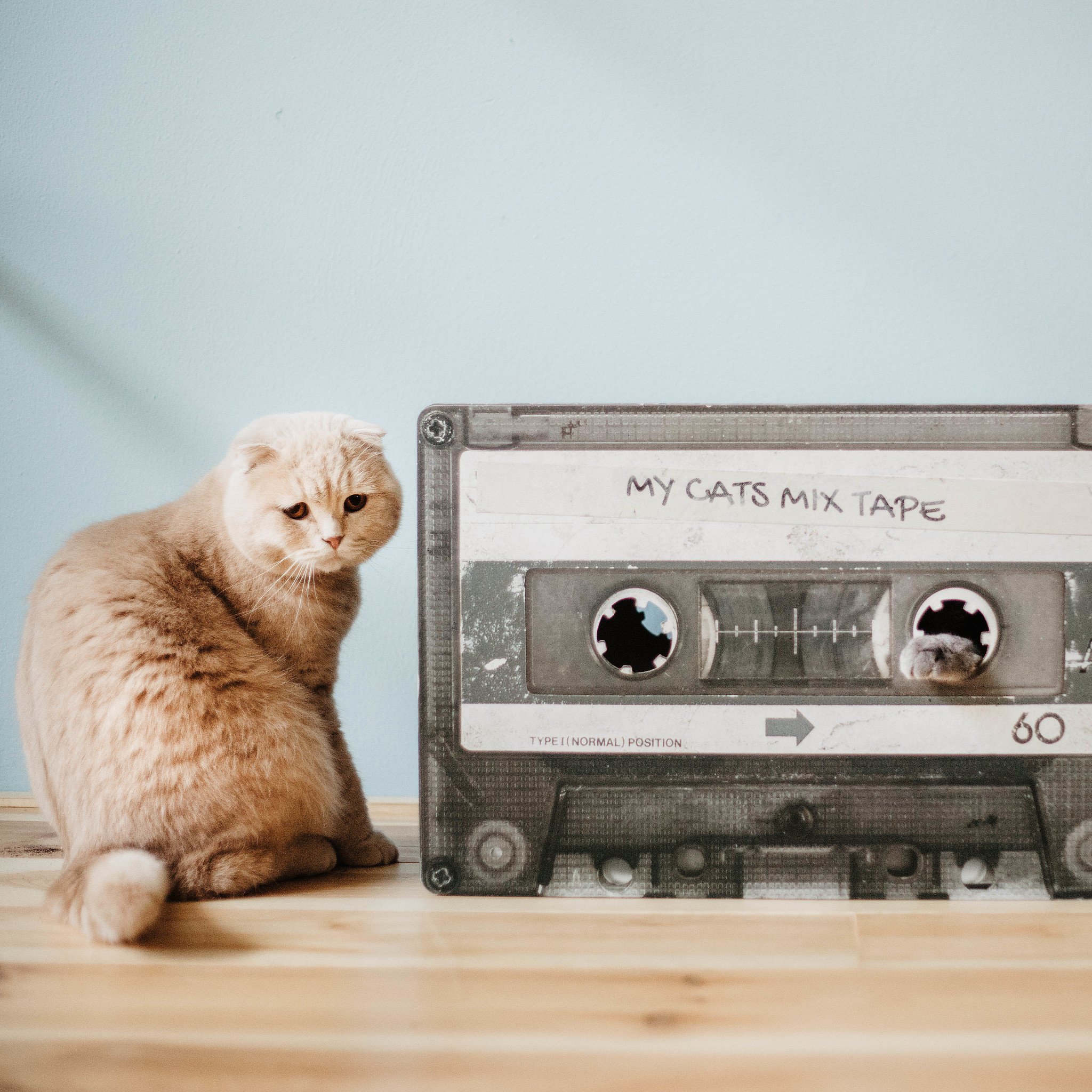 District 70 Krabmeubel MIXTAPE Zwart – geïnspireerd op cassettebandje