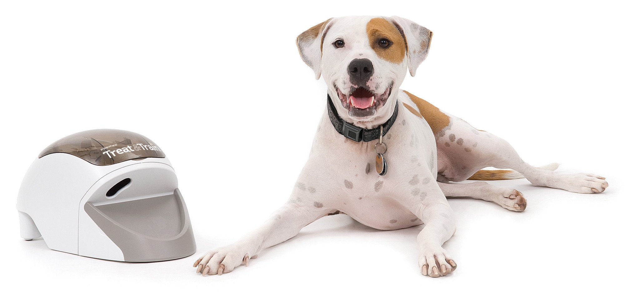 PetSafe Honden Trainer Treat & Train – Remote Beloningssysteem