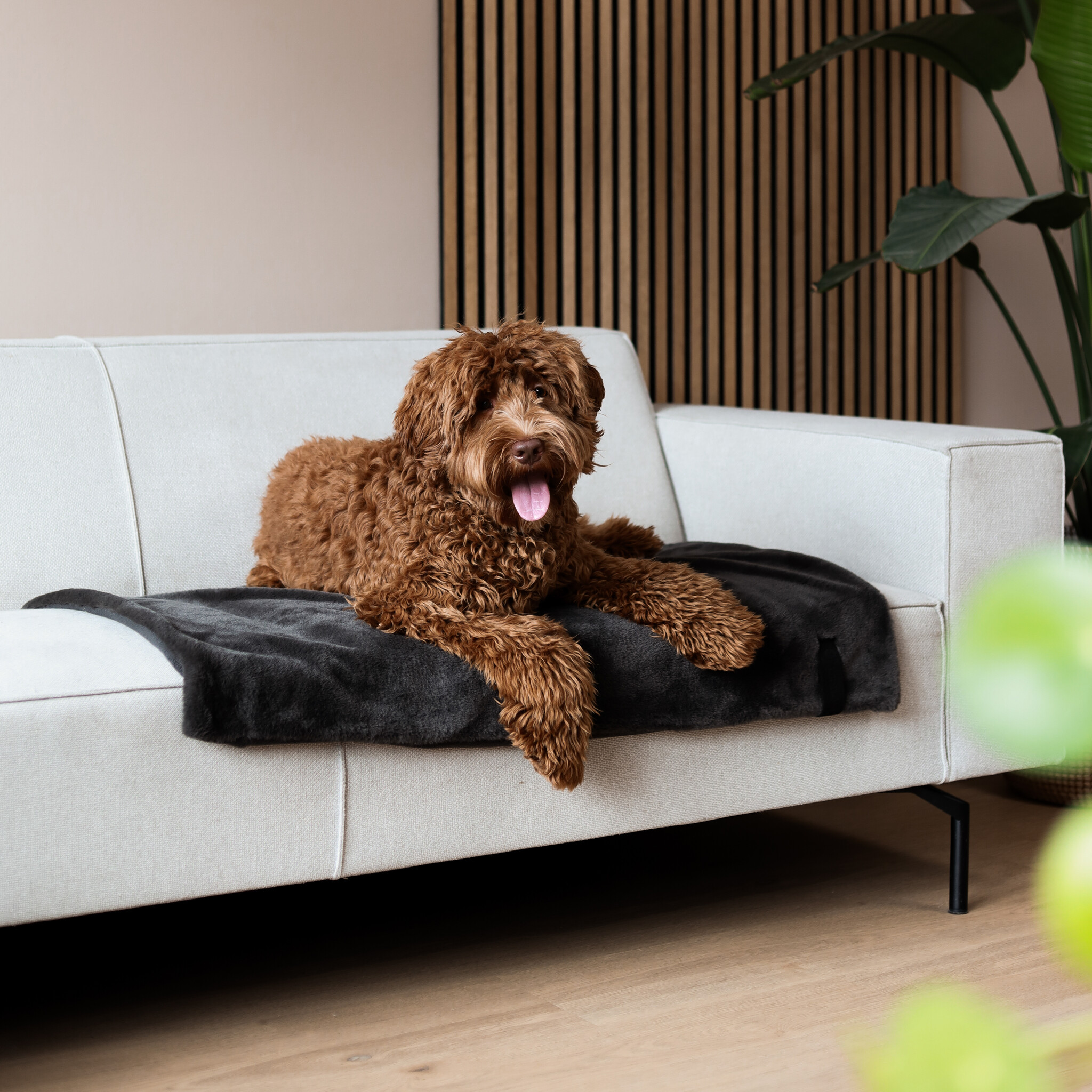 District 70 Hondendeken NUZZLE 100×70 cm – Donker Grijs
