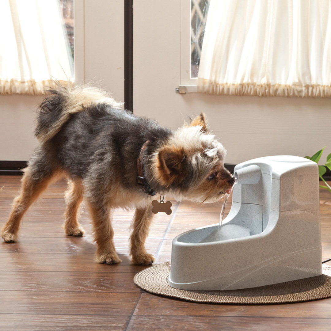Drinkwell Mini Pet Fountain 1.2 L – Drinkfontein voor Huisdieren
