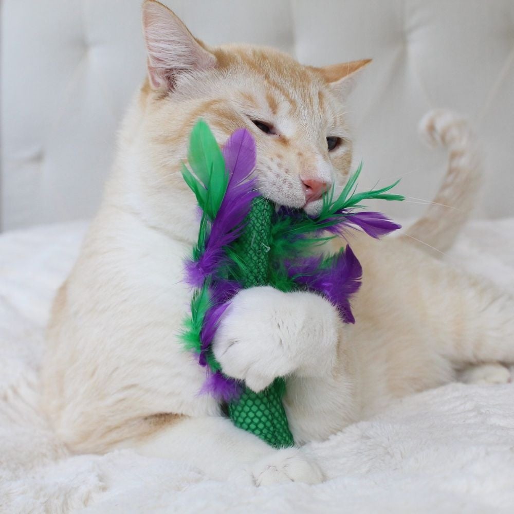 Petstages KattenSpeelgoed Krazy Kale – Tandenreiniger voor Katten