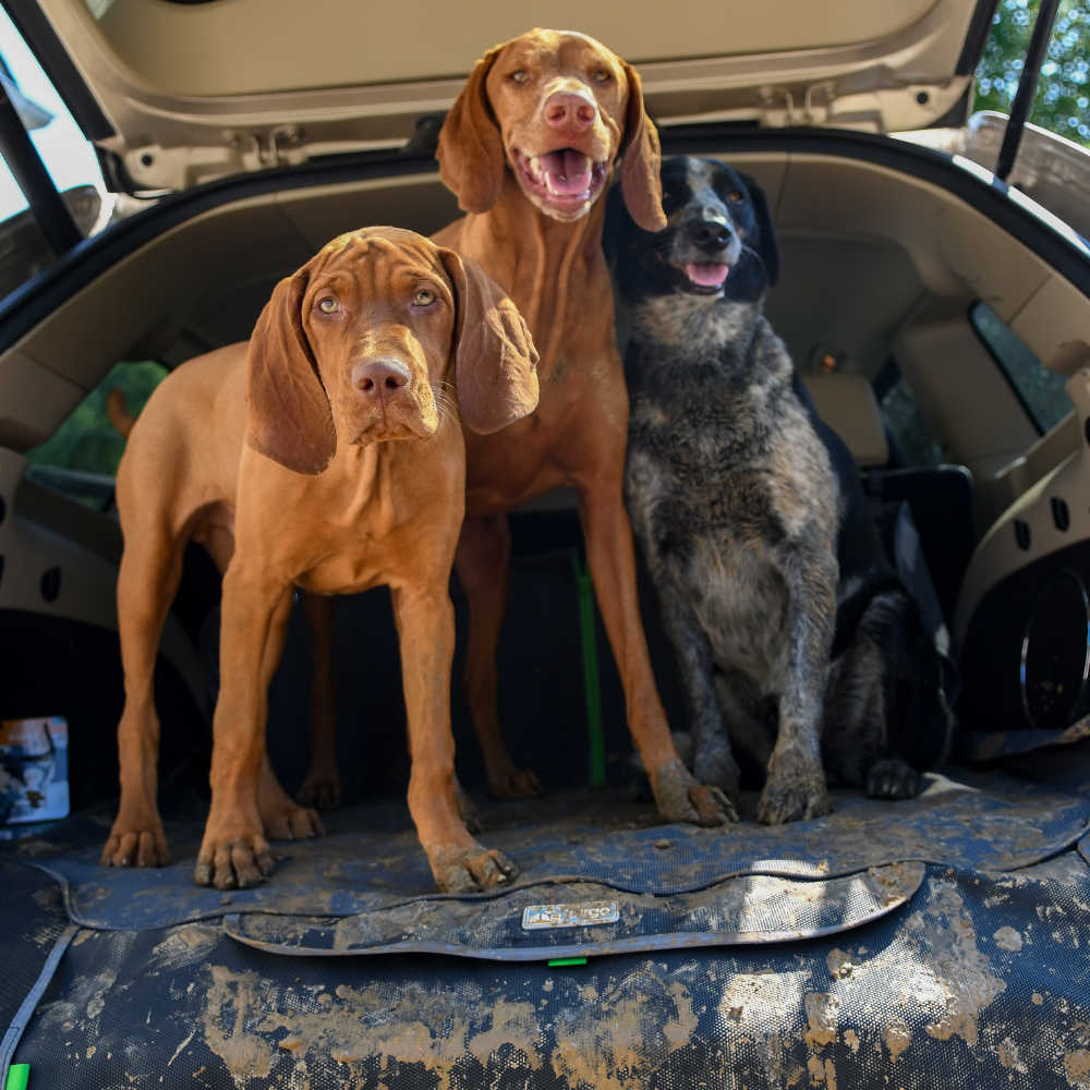 Kurgo Cargo Cape Kofferbakbeschermer Grijs – Bescherming voor Hond