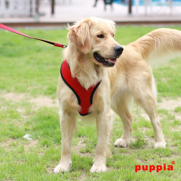 Puppia hondenharnas Soft Rood XL - Nek 41 cm | Borst 56-83 cm