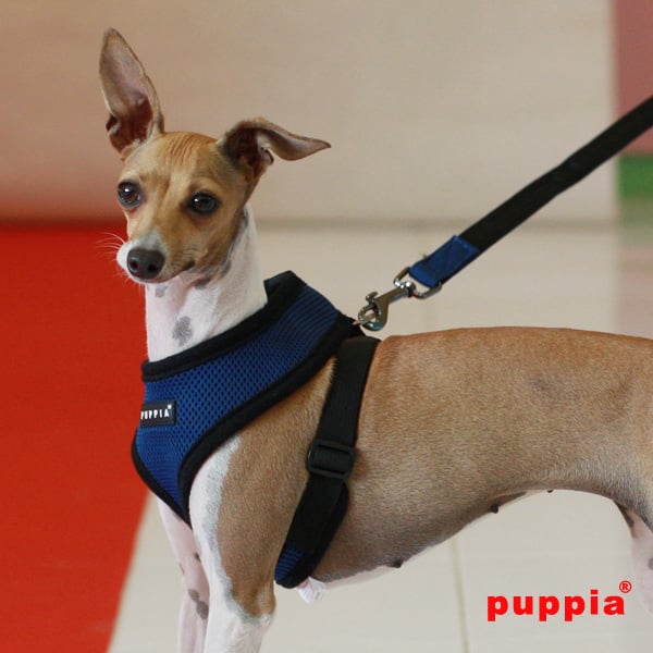 Puppia hondentuigje Soft Harnas camouflagemotief XS – Nek 21 cm